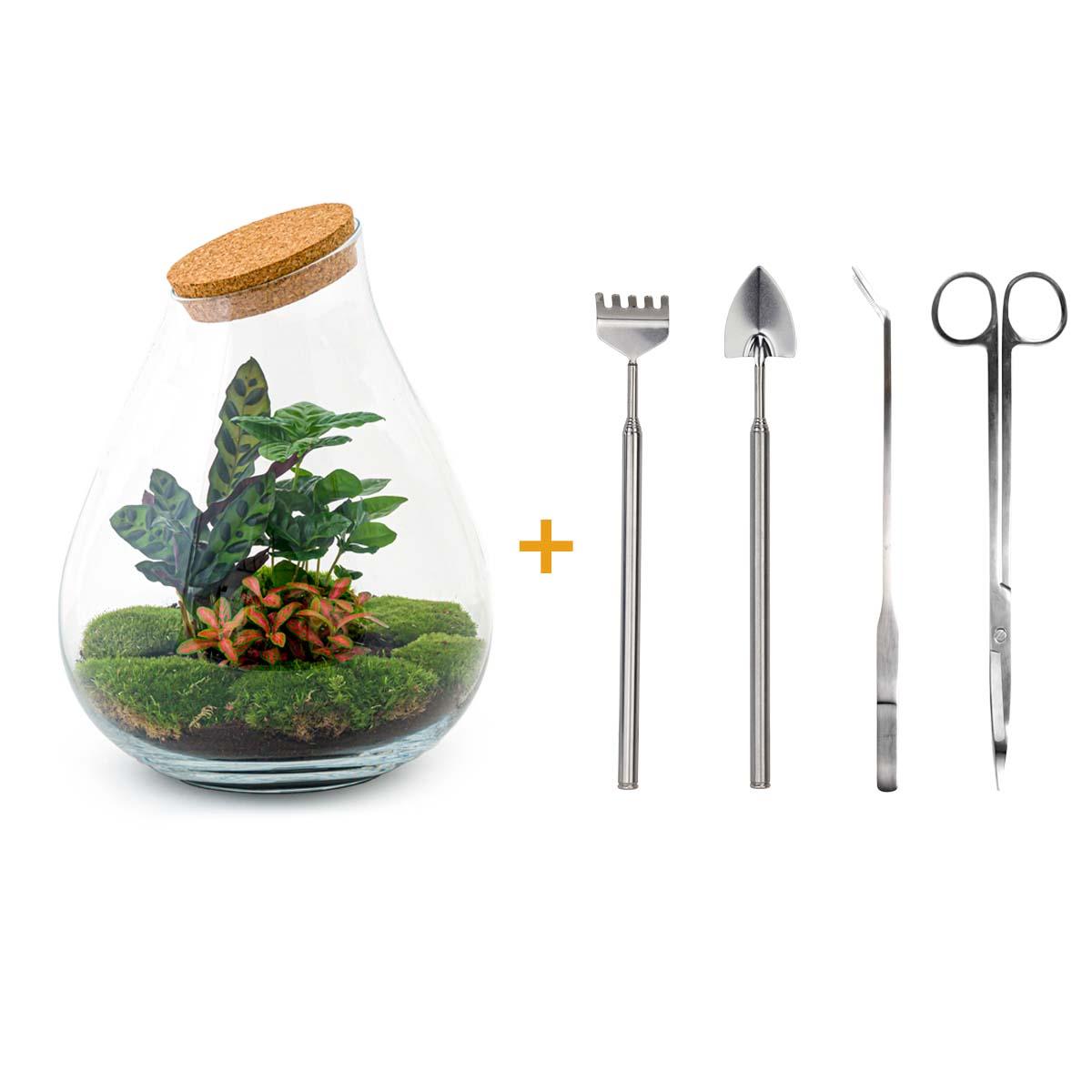 DIY Plant terrarium - Drop XL Palm - Ø 24 cm ↑ 37 cm - Rake + Shovel + Tweezer + Scissors