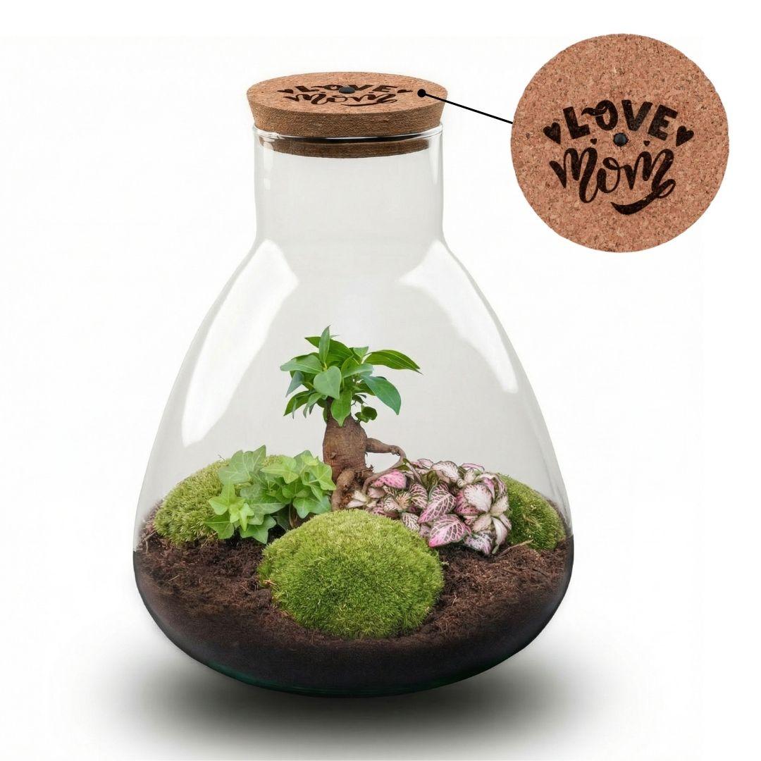 'LOVE MOM' terrarium Sam + gegraveerde kurk met licht - Fles terrarium DIY kit - Ø 24.5 cm ↑ 30 cm - Moederdag