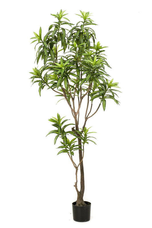 Pianta artificiale - Dracaena - Albero del drago - 190 cm