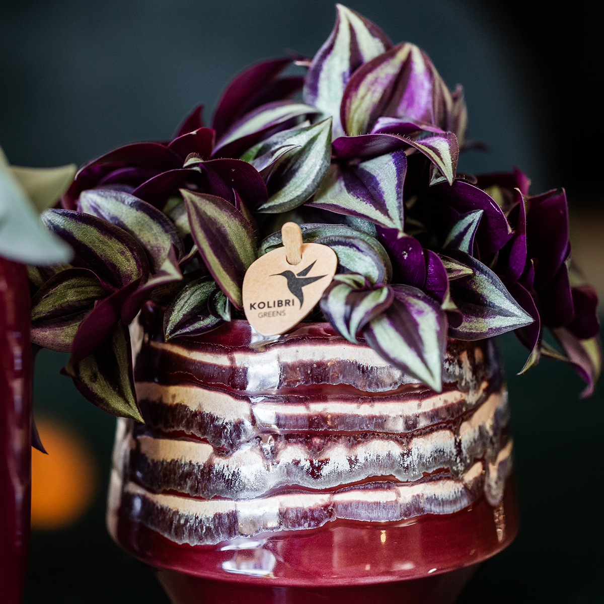 Hummingbird Home | Moonstone Burgundy decorative pot - Ø9cm