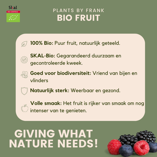 "Fruit party" Set di piante da frutto BIO di 3 tipi diversi