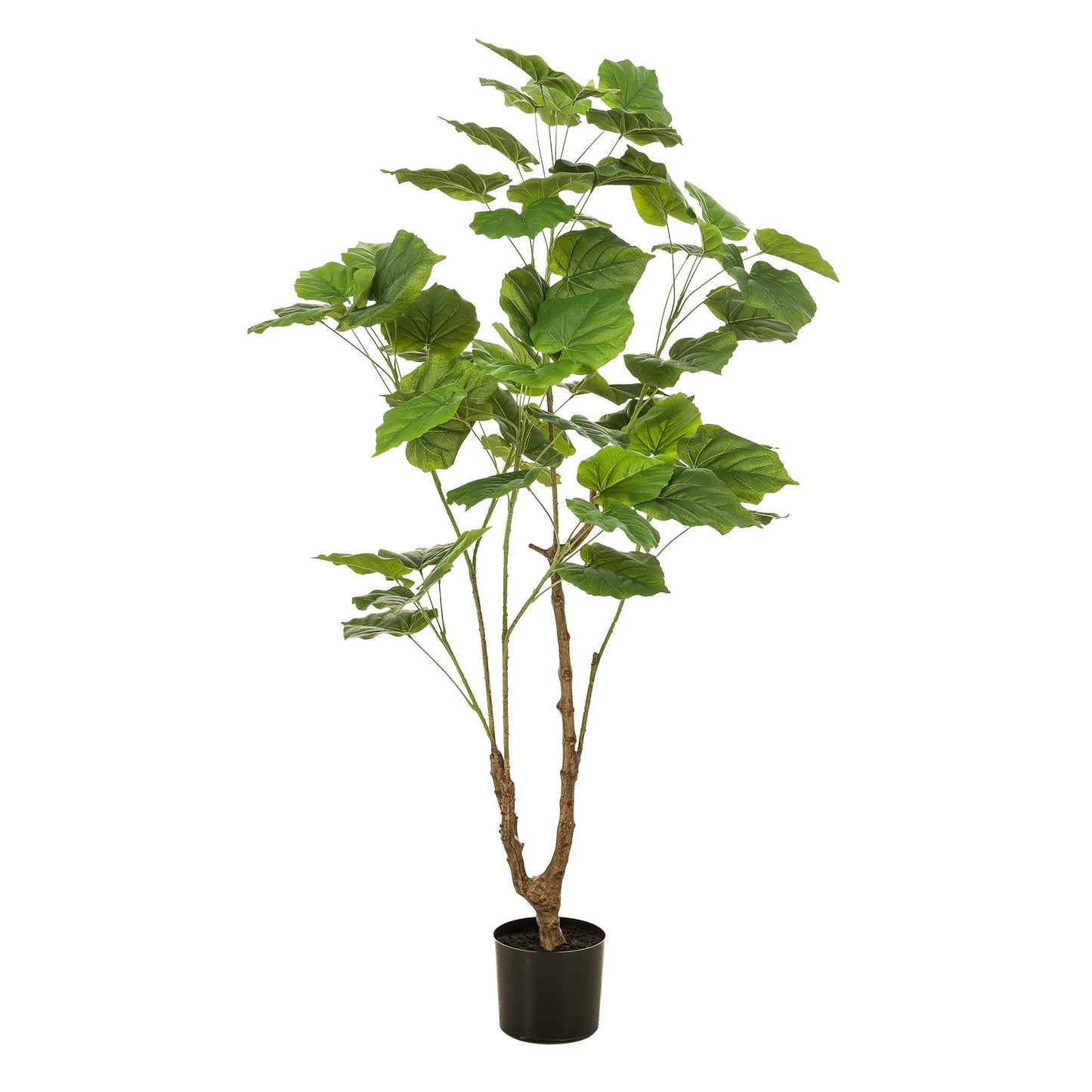 Pianta artificiale - Ficus umbellate - Fico africano - 125cm