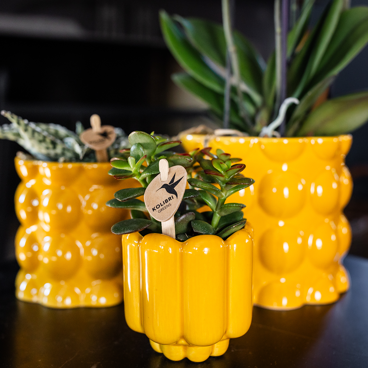 Hummingbird Home | Retro Shine decorative pot - Yellow - Ø6cm
