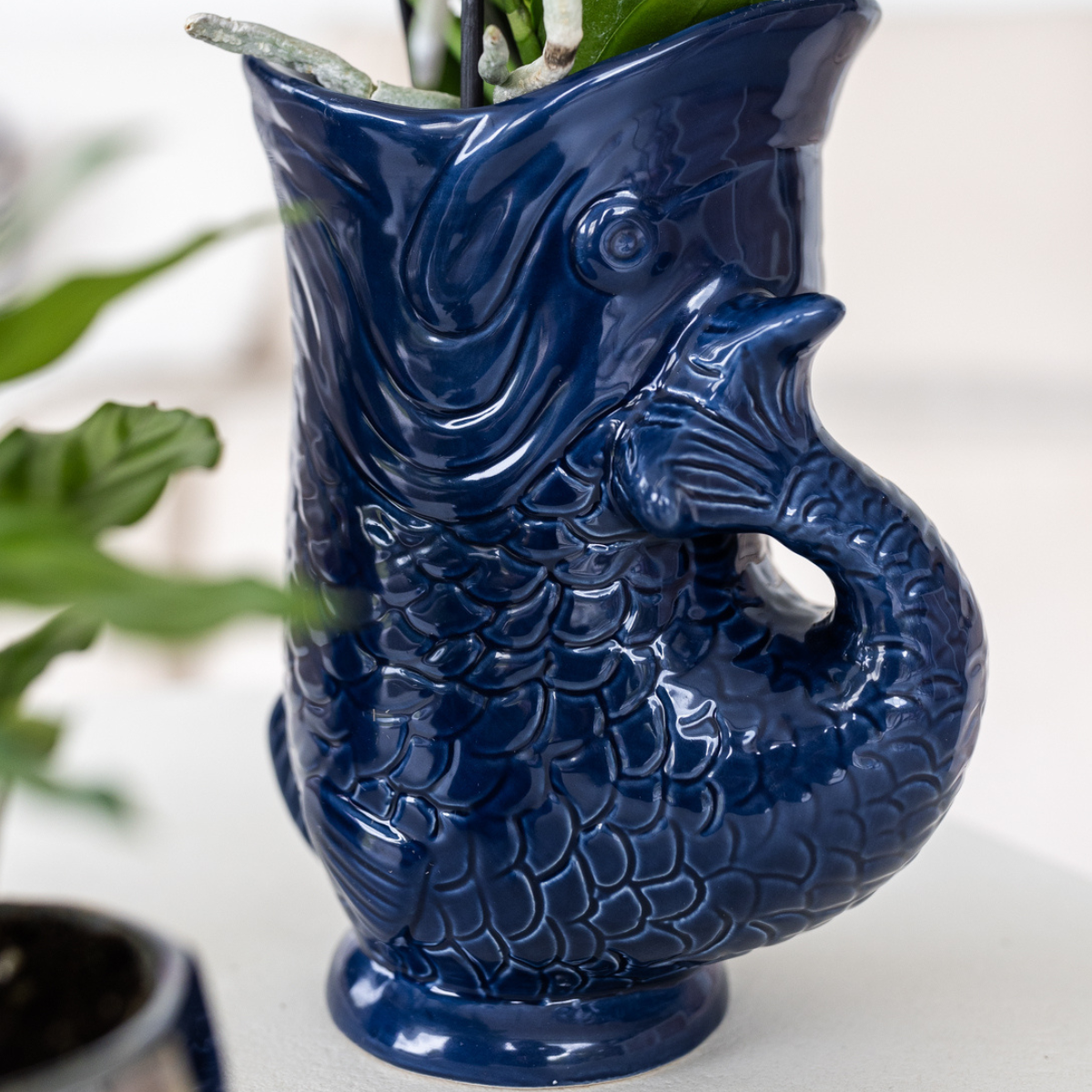 Kolibri Company | Plant set Mediterranean Sunset | White Phalaenopsis Orchid Lausanne and Succulents incl. ceramic decorative pots