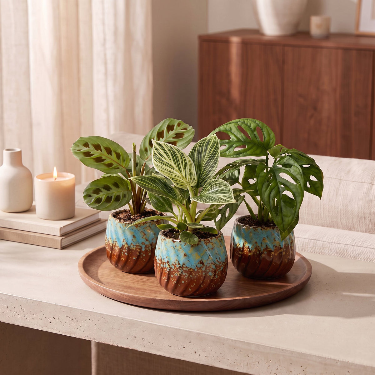 3x Baby Plants Surprise Box - Verrassingsbox kleine planten - Diversen - Tropisch - incl. Copper Reef - Ø6cm - ↕5-15cm