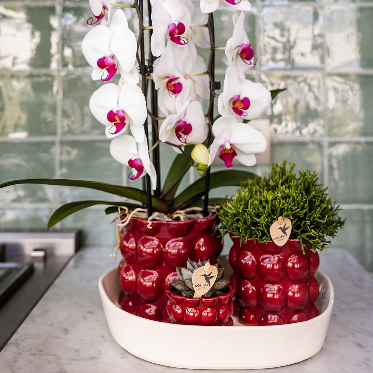Hummingbird Home | Cotton Shine decorative pot - Red - Ø12cm