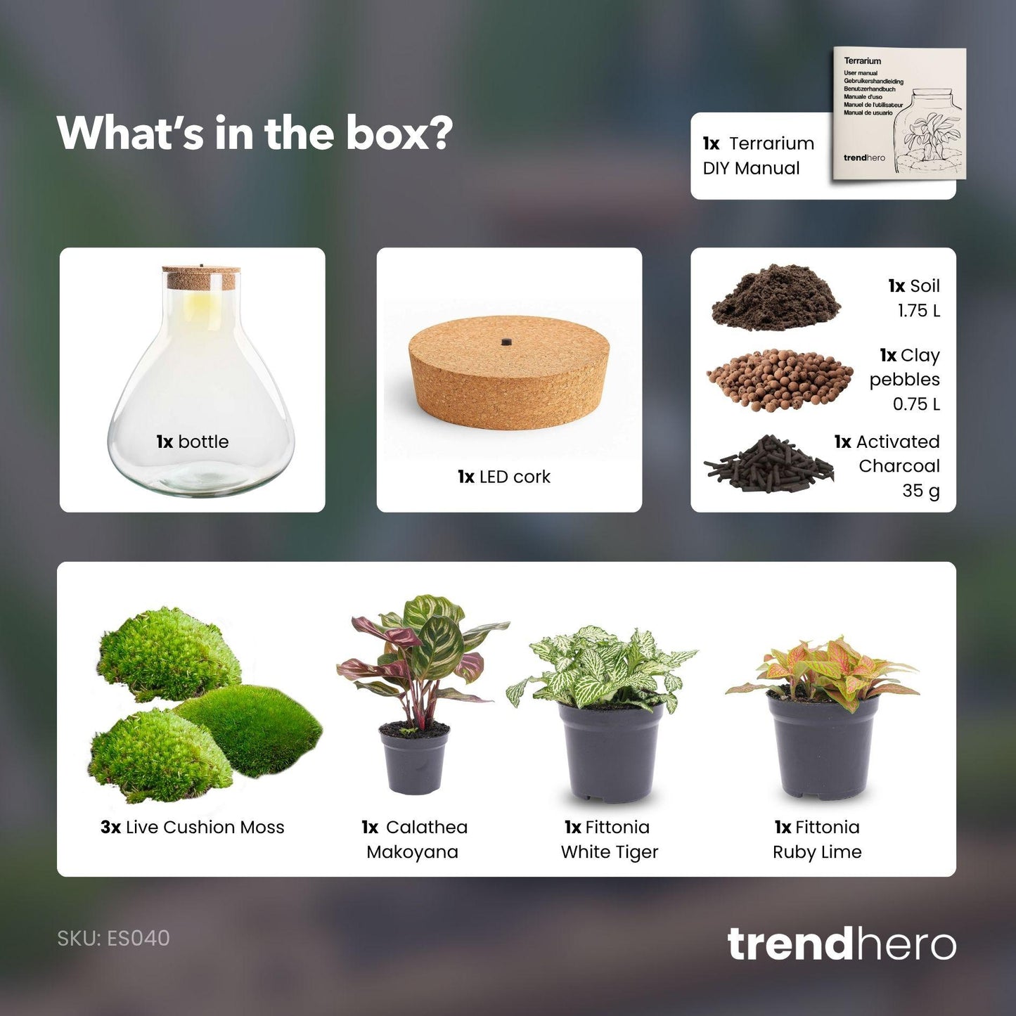 DIY Plant terrarium with light - Sam XL Red - Ø 30 cm ↑ 32 cm - No tools