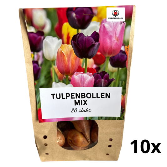 10 bags Tulip Bulb Mix of 20 Pieces per bag | KH Bloembollen® | Colorful Tulip Mix – Perfect for Garden or Pot – Size 11/12 – Fresh from the Grower