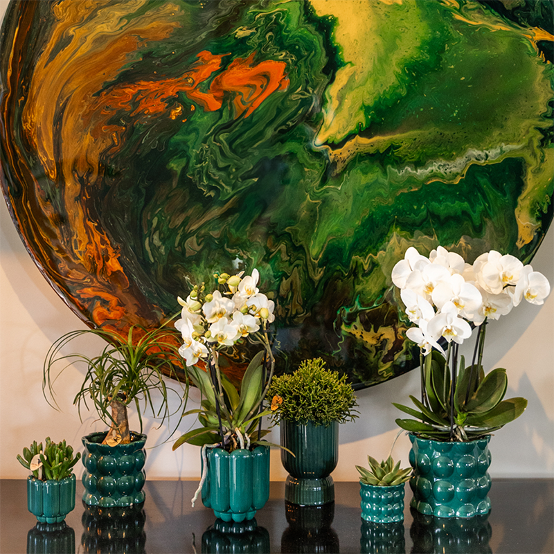Hummingbird Home | Vaso decorativo Cotton Shine - Verde - Ø12cm