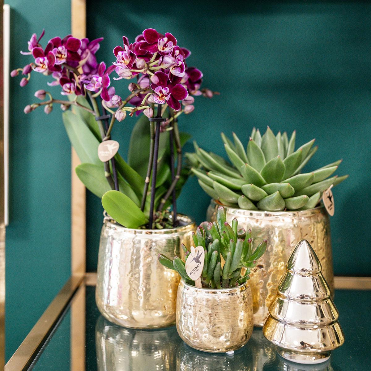 Kolibri Home | Luxury bloempot - Gouden keramieken sierpot - Ø9cm