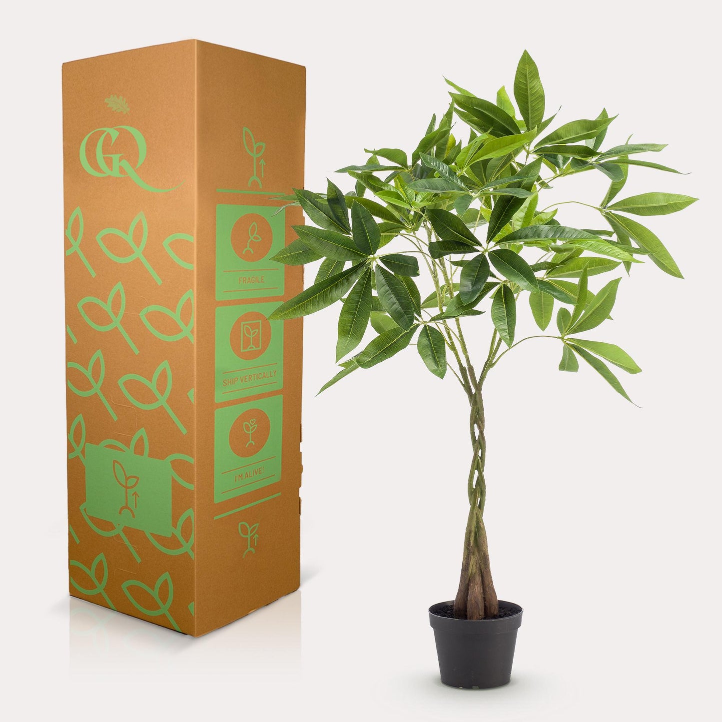 artificial plant - Pachira aquatica - Money Tree - 90cm