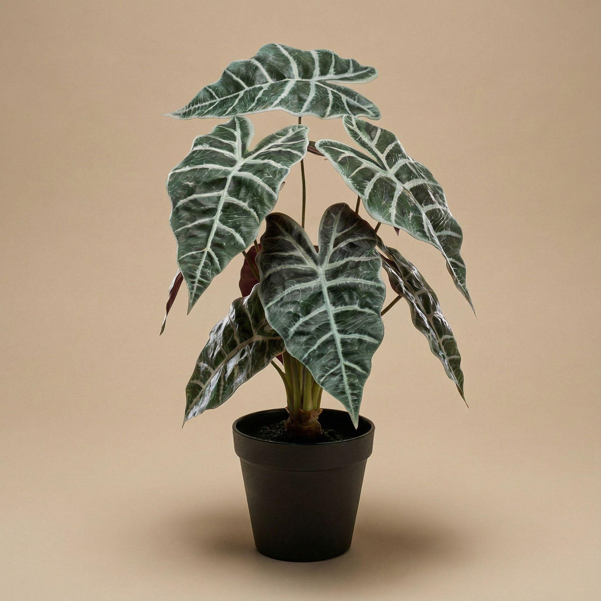 Künstliche Alocasia im Innentopf – 40 cm