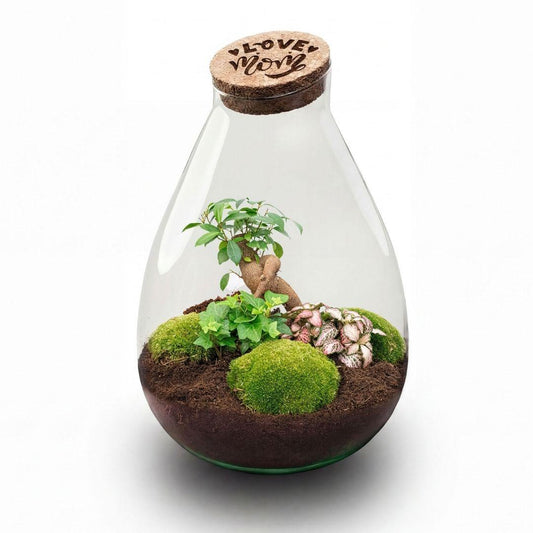 'LOVE MOM' terrarium Drop XL + gegraveerde kurk - Fles terrarium DIY kit – Ø 24 cm ↑ 37 cm - Moederdag