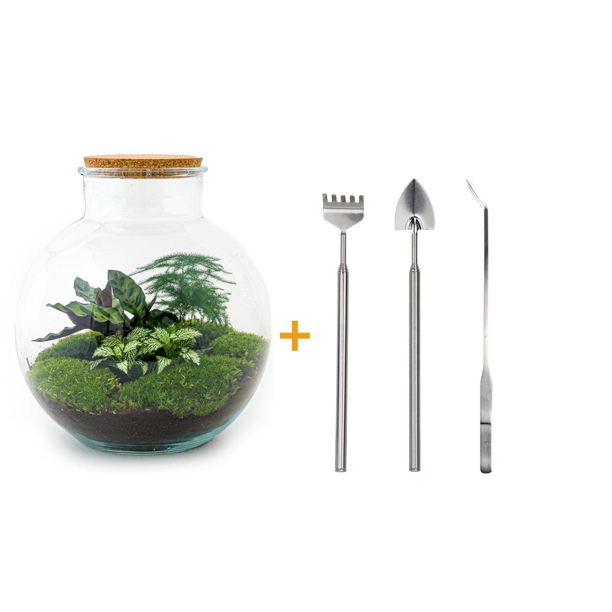 DIY Plant terrarium (with lighting) - Bolder Bob - Ø 31 cm ↑ 30 cm - Rake + Shovel + Tweezer