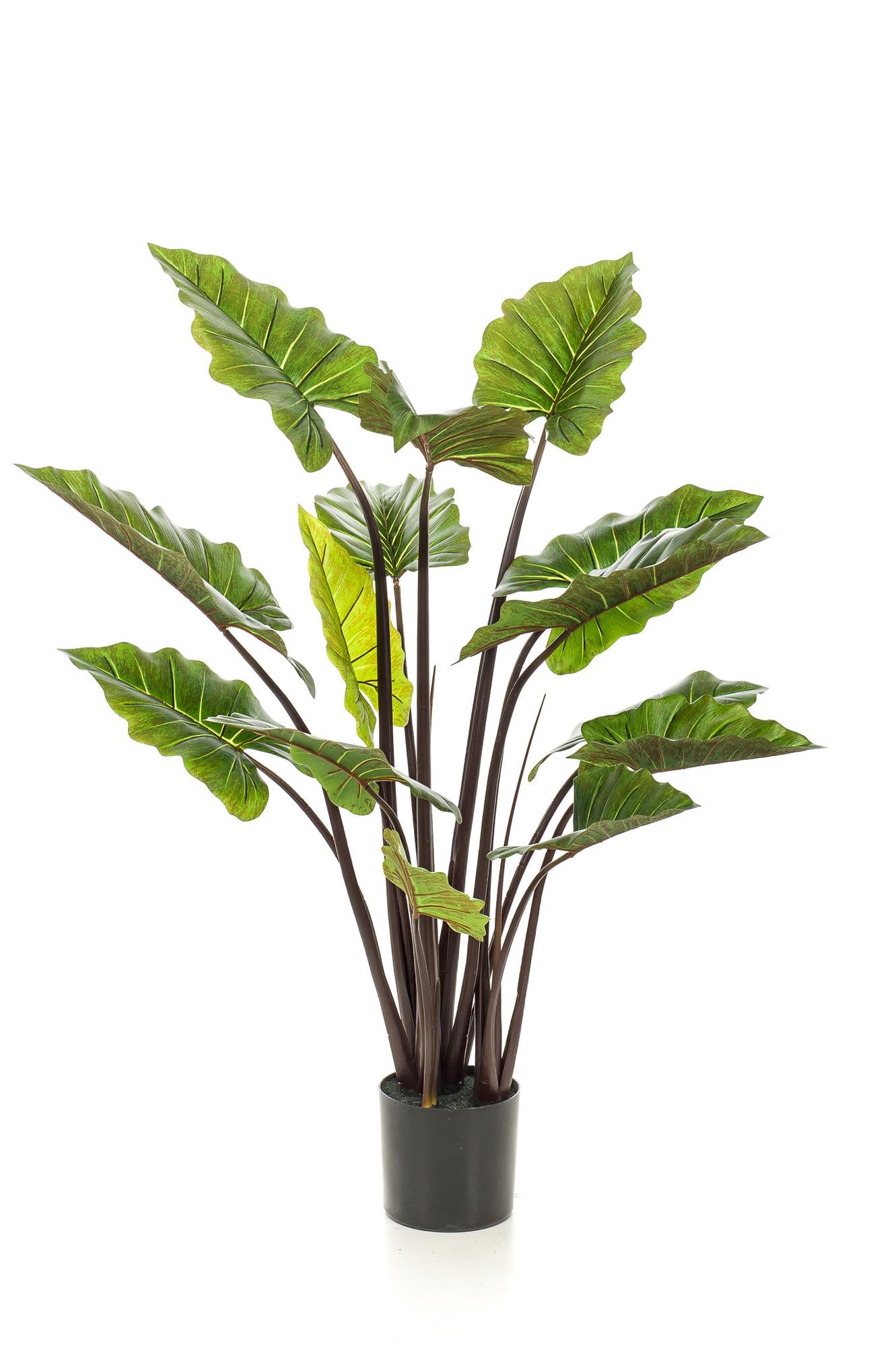 Artificial plant - Colocasia Pink China - Elephant Ear - 130 cm