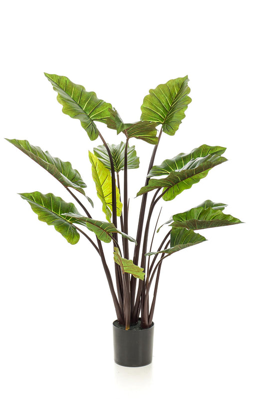 Artificial plant - Colocasia Pink China - Elephant Ear - 130 cm