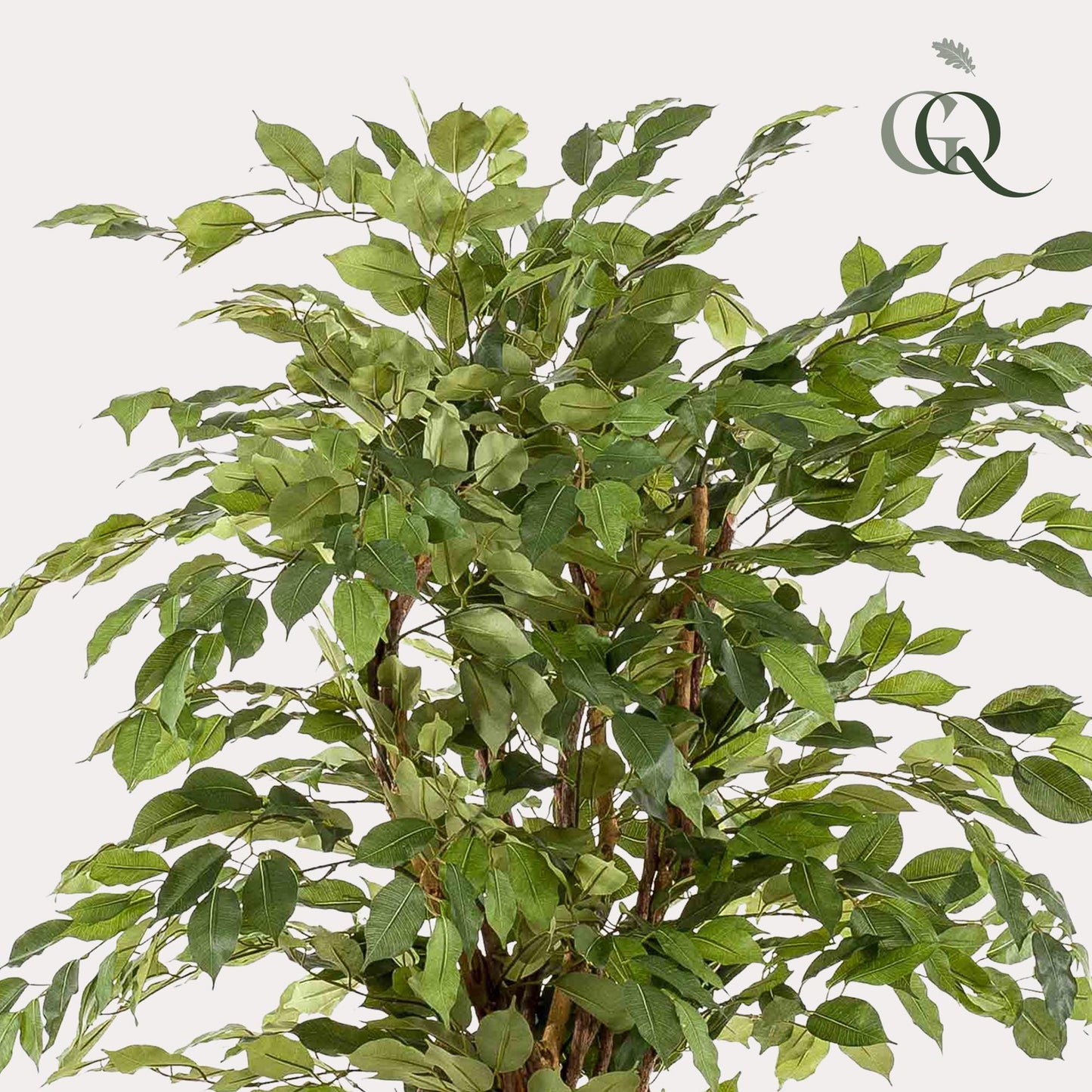 pianta artificiale - Ficus liana - Pianta a foglia di violino - 170 cm