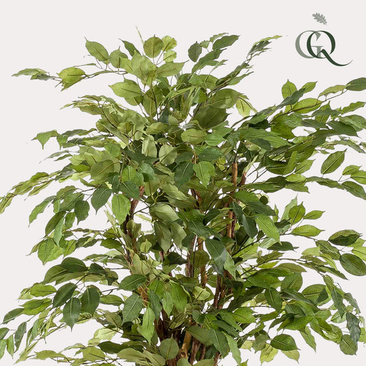 pianta artificiale - Ficus liana - Pianta a foglia di violino - 170 cm