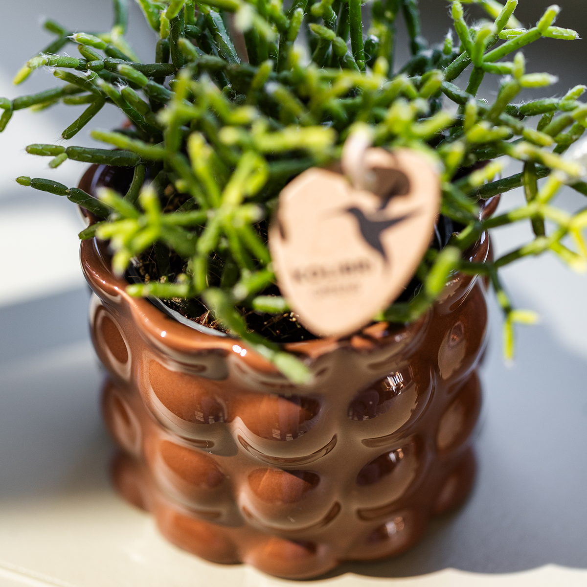 Hummingbird Home | Cotton Shine decorative pot - Brown - Ø9cm