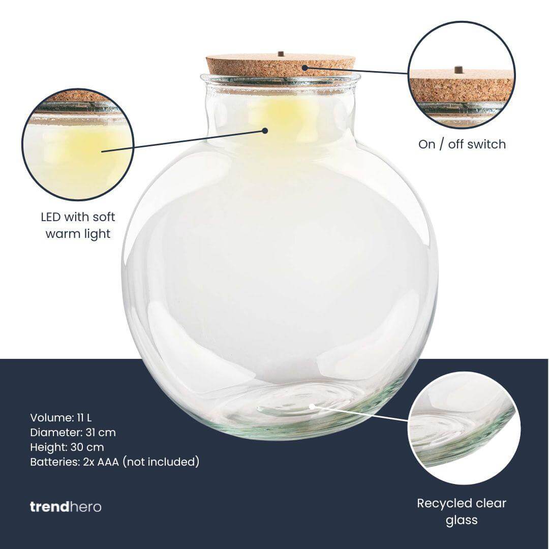 Terrarium fles met kurk