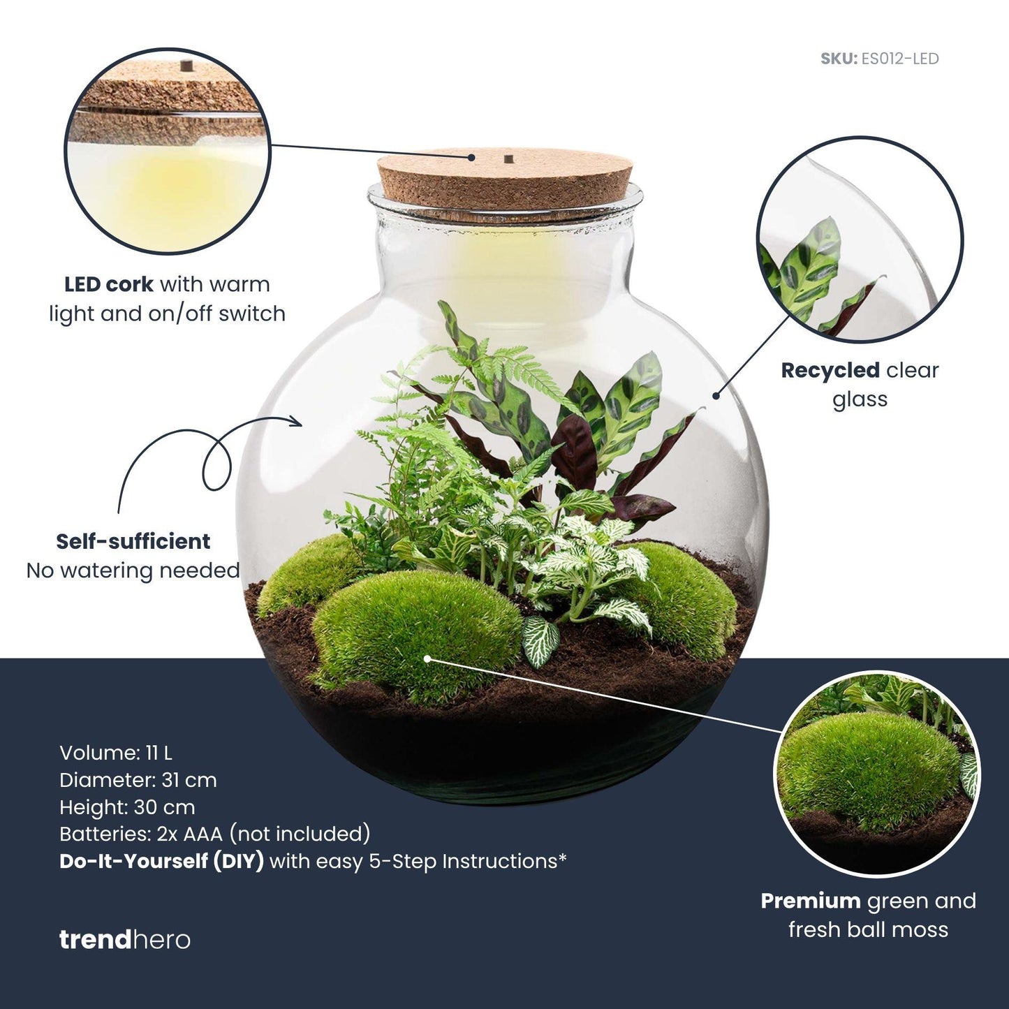 DIY Plant terrarium (with lighting) - Bolder Bob - Ø 31 cm ↑ 30 cm - With LED cork