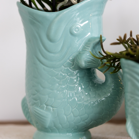 Orchidee colibrì | orchidea Phalaenopsis bianca - Amabilis + Fish pot turchese - dimensioni vaso Ø9cm | pianta da appartamento fiorita - fresca dal coltivatore