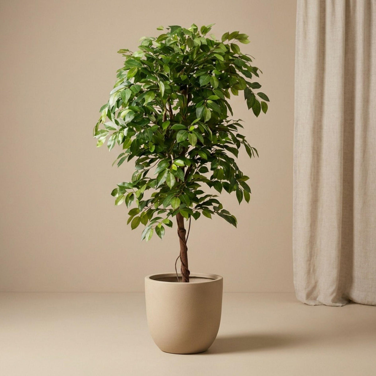 Ficus Deluxe Vine artificiel – 140 cm