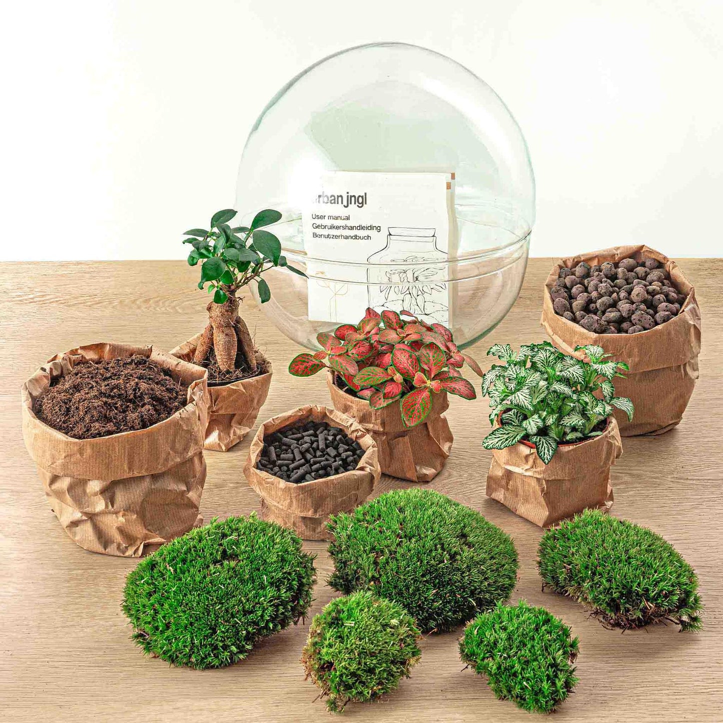 DIY Plant terrarium two-piece glass dome - Dome XL Bonsai - Ø 28 cm ↑ 28 cm - Rake + Shovel + Tweezer + Scissors