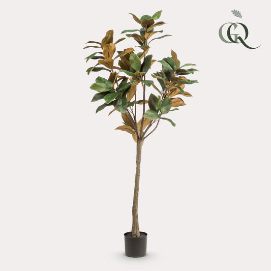 Pianta artificiale - Magnolia Grandiflora - 150 cm