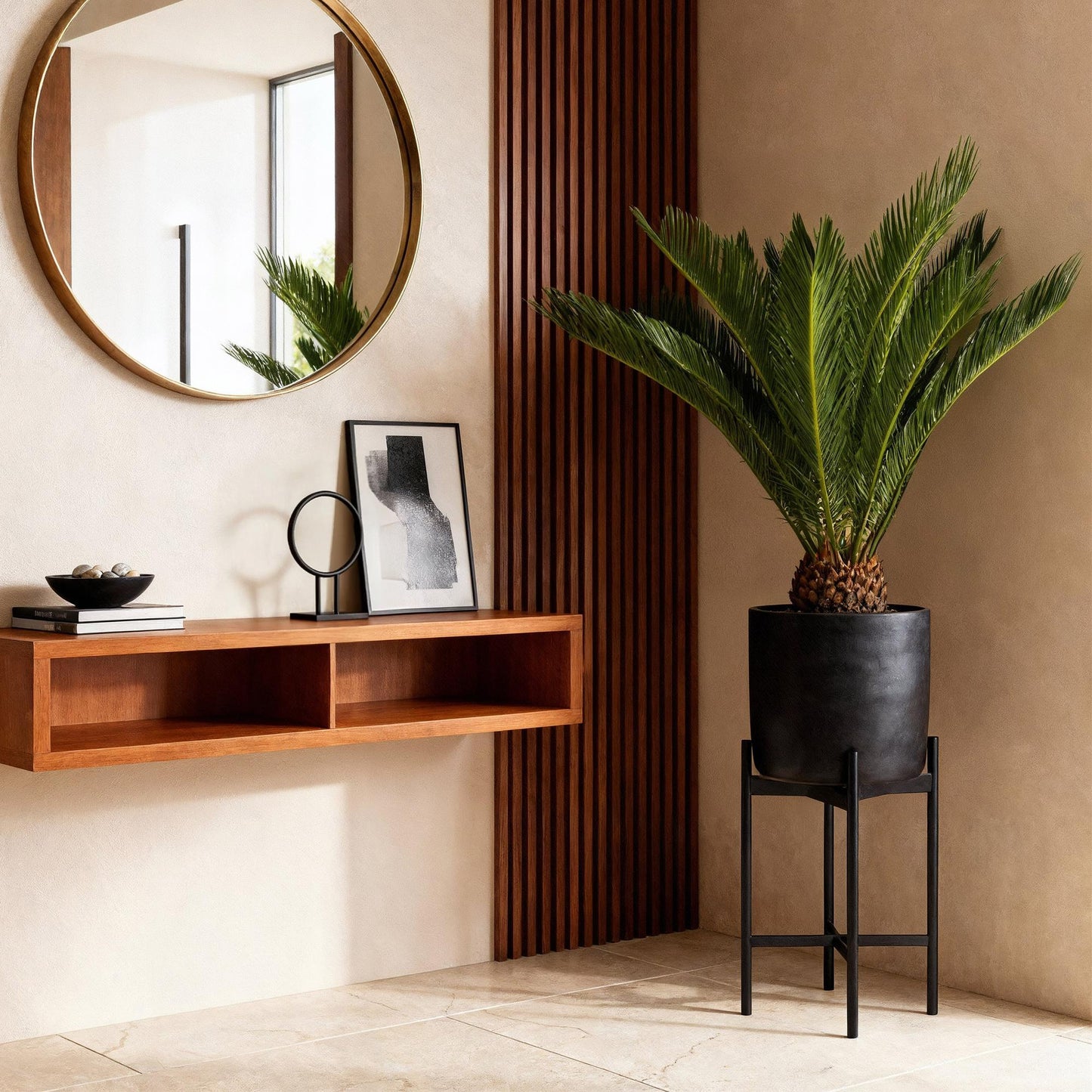 Houseplant - Cycas revoluta - Sago Palm - Low maintenance - Green - 2 - Pot 17cm - Height 55-65cm