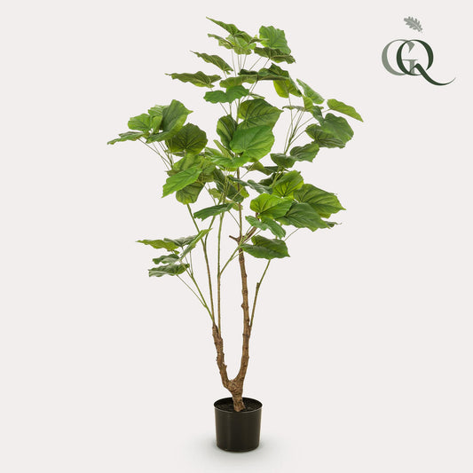 Pianta artificiale - Ficus umbellate - Fico africano - 125cm