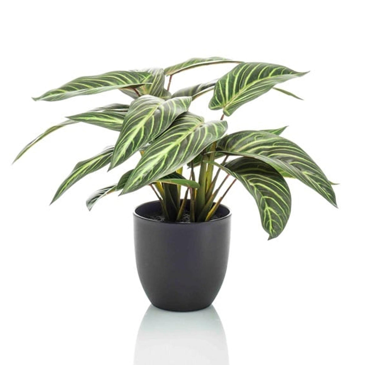 Calathea Zebrina artificiel en pot noir – 42 cm