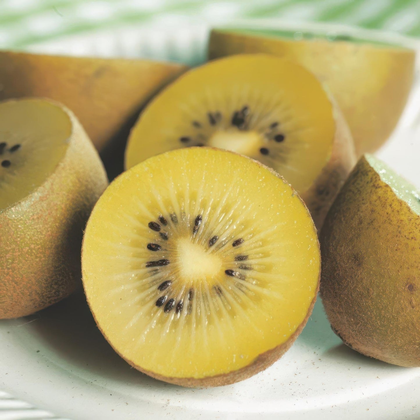 Fruitplant - Actinidia Weiki & Golden Kiwi - Kiwiplant - 1 Mannelijke - 1 Vrouwelijke - Planten - Geel - Pot 15cm - Hoogte 50cm