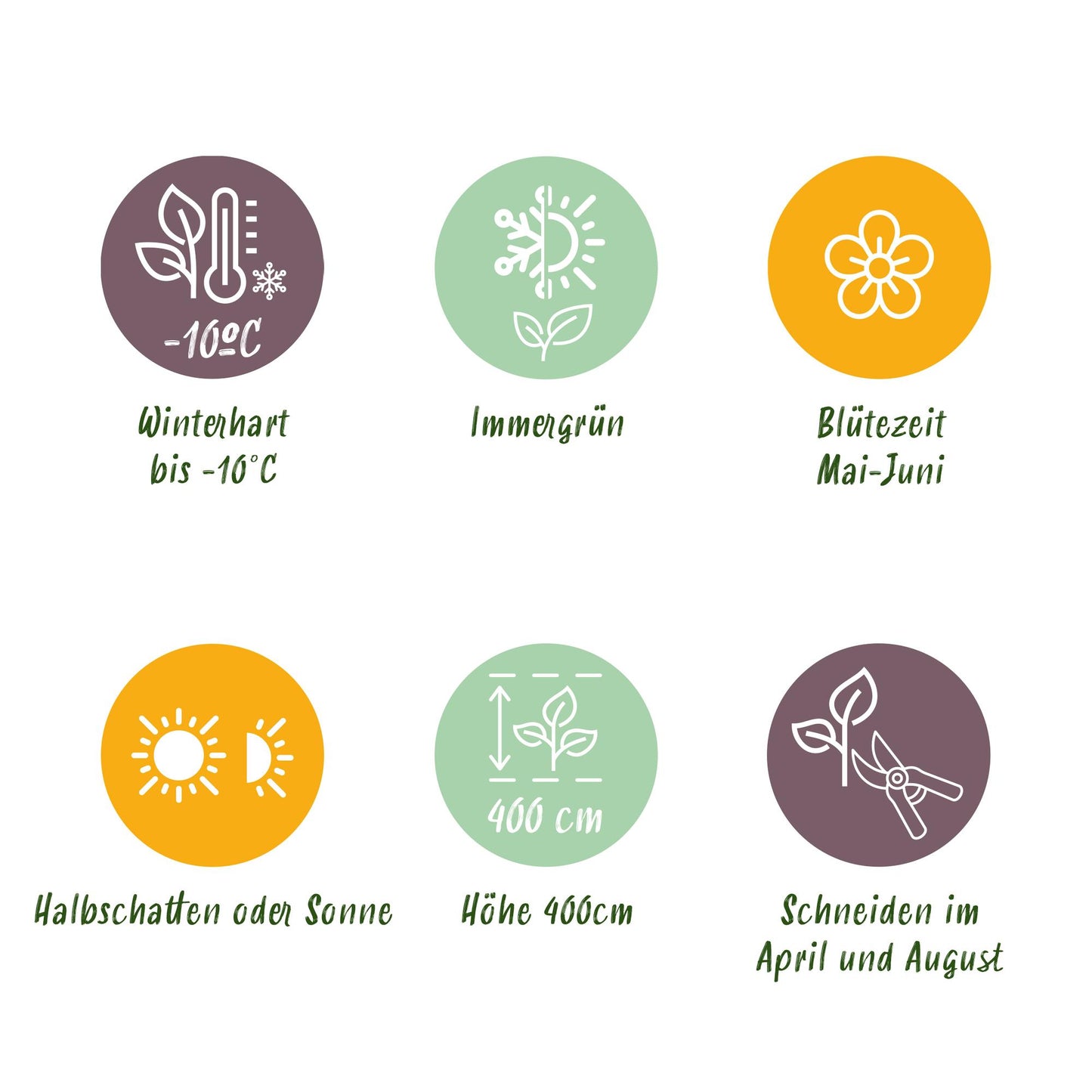 Terrarium fles met LED-verlichting