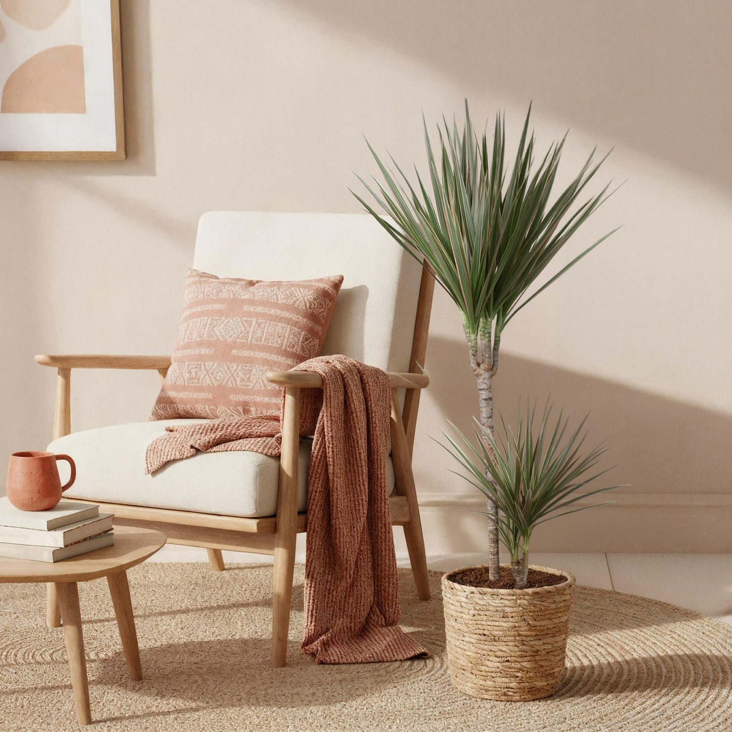 Green is... Indoor plants - Dracaena Marginata Bicolor - Dragon Tree - Low maintenance - Green - 1 Plant - Pot 21cm - Height 90-100cm