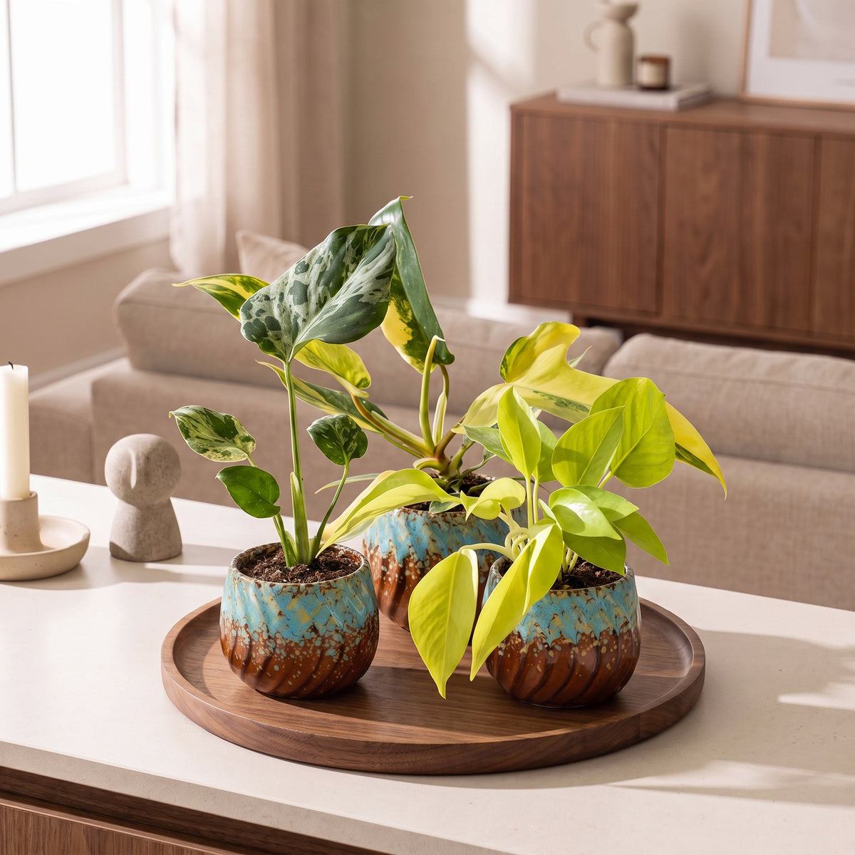 3x Baby Tropical Mix - Diversen - Tropisch - incl. Copper Reef - Ø6cm - ↕10-15cm