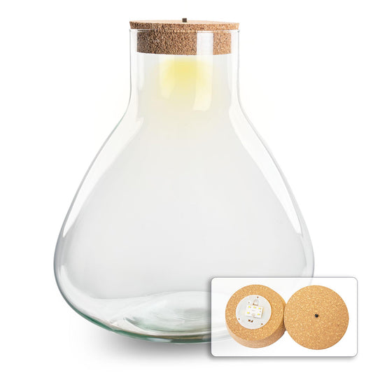 Bottiglia per terrario - Erlenmeyer XL con illuminazione in sughero - altezza 32 cm