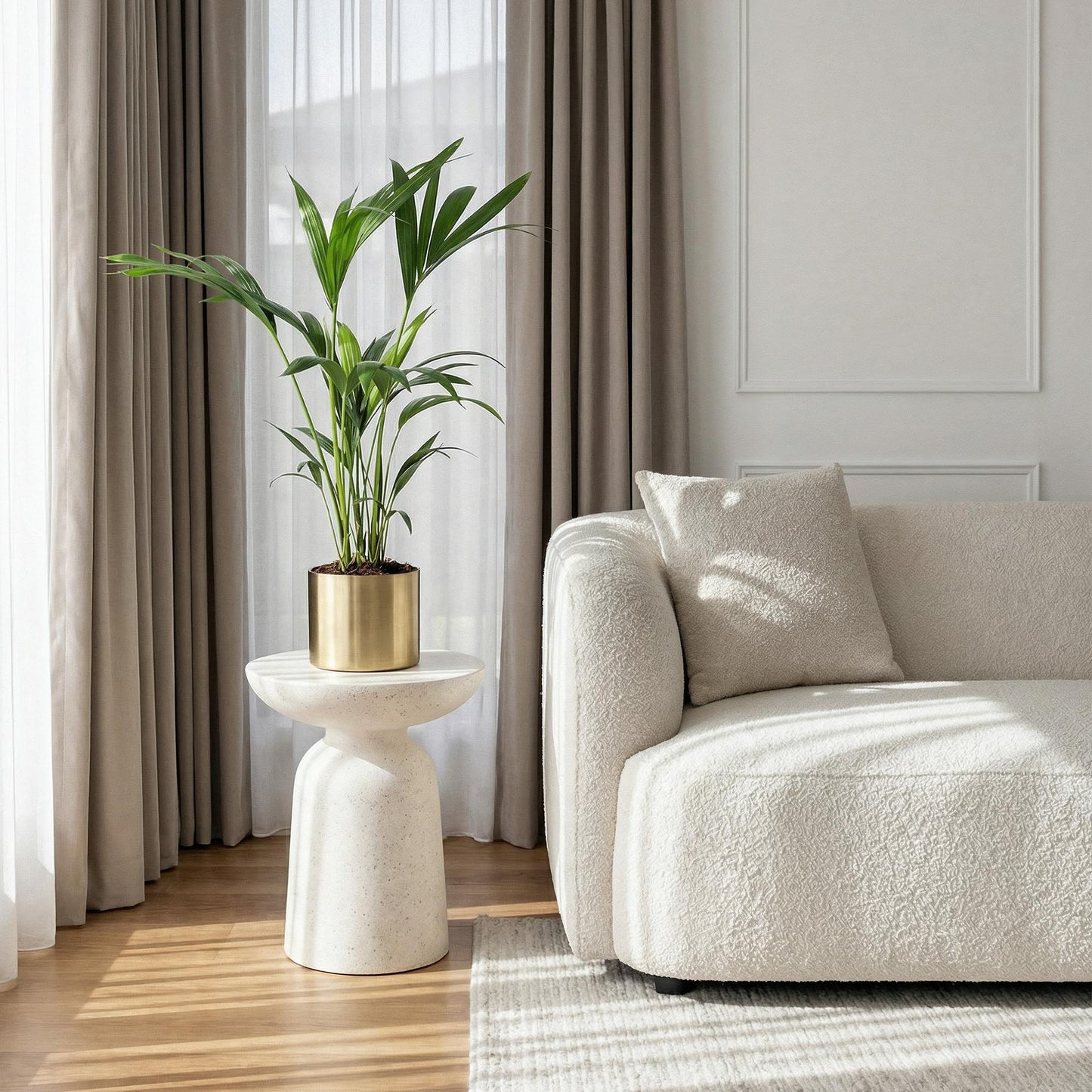 Green boutiQ - Houseplant - Howea Forsteriana - Kentia Palm - Low Maintenance - Green - 2 plants - Pot 17cm - Height 70-75cm