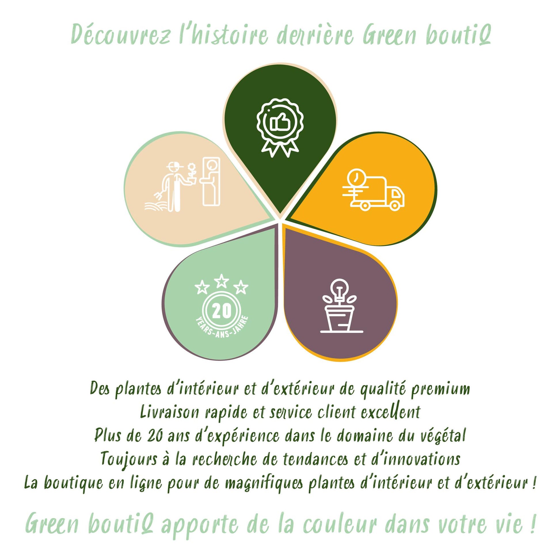 Photinia fraseri Carre Rouge