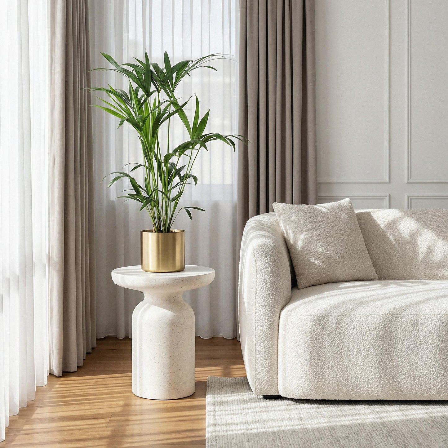 Green boutiQ - Houseplant - Howea Forsteriana - Kentia Palm - Low Maintenance - Green - 1 plant - Pot 19cm - Height 80-85cm