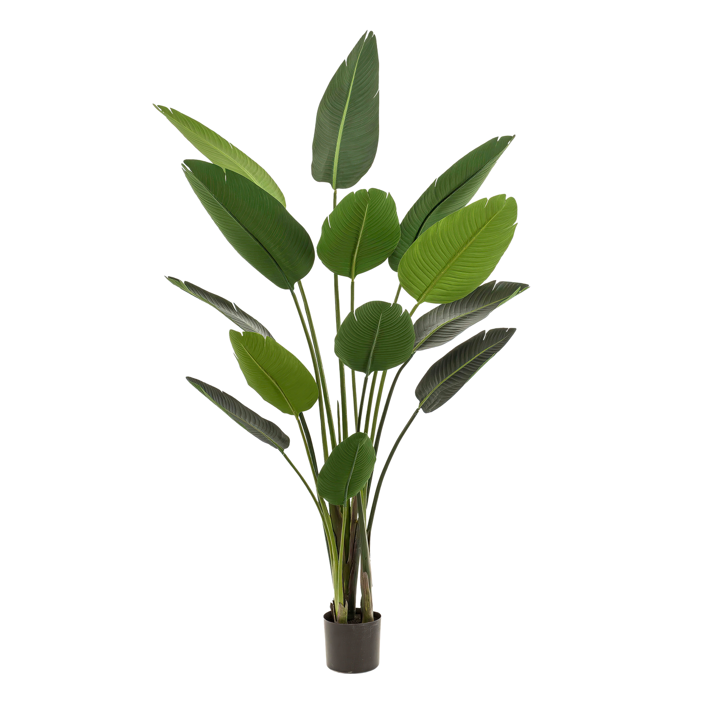 Artificial plant - Strelitzia Nicolai - Bird of Paradise flower - 190 cm