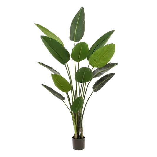 Artificial plant - Strelitzia Nicolai - Bird of Paradise flower - 190 cm