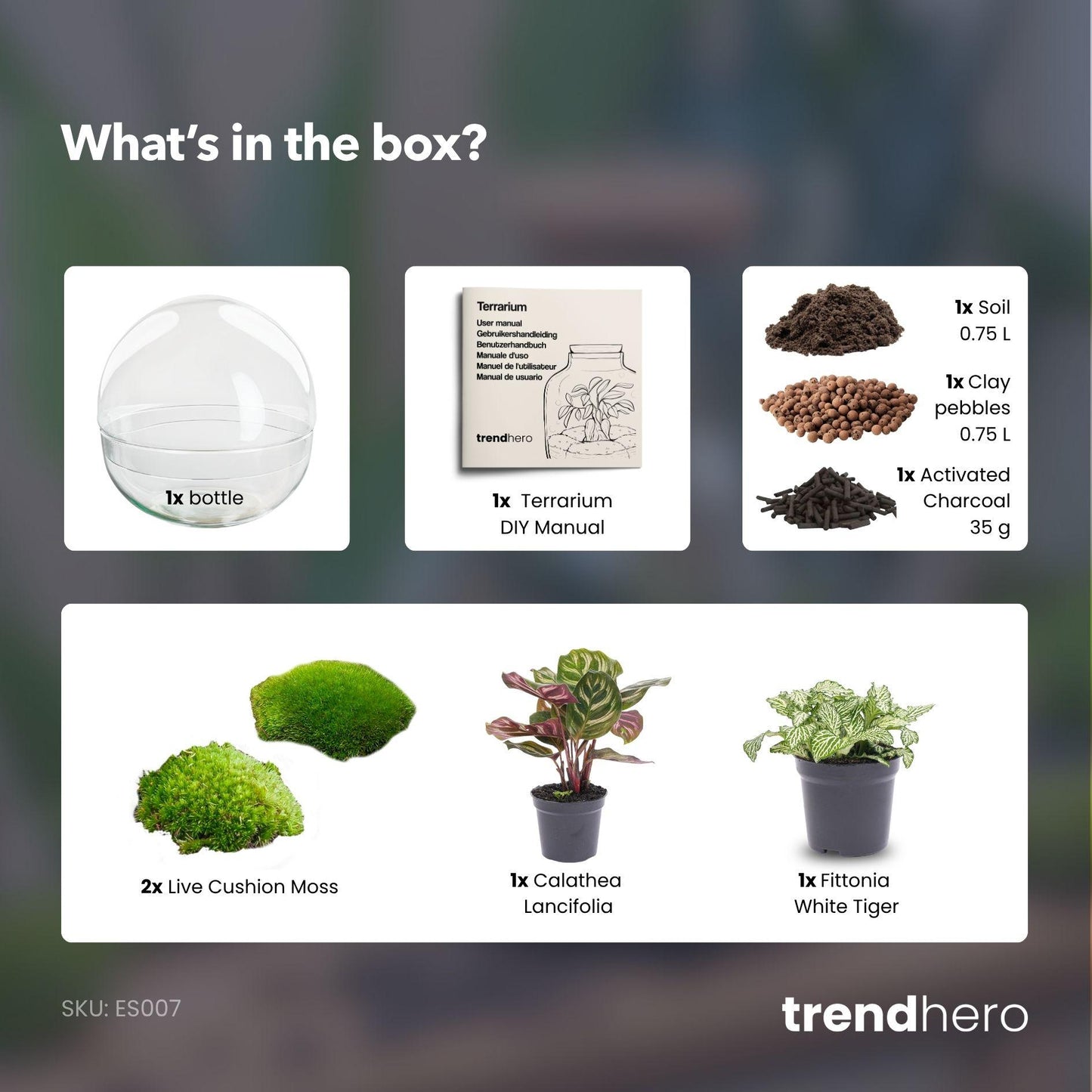 DIY Planten terrarium tweedelig bolglas - Dome - Ø 20 cm ↑ 20 cm - Normal