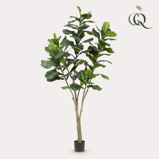 Pianta artificiale - Ficus Lyrata - Pianta di tabacco - 210cm
