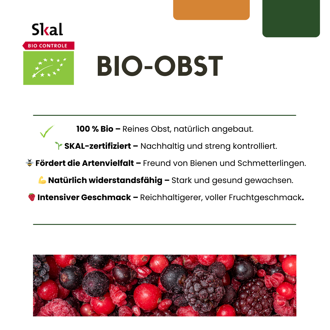 "Festa dei frutti" Set mix di 3 diverse varietà di piante da frutto BIO