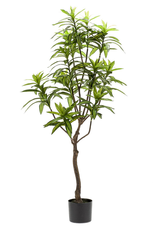 Artificial plant - Dracaena - Dragon tree - 130 cm
