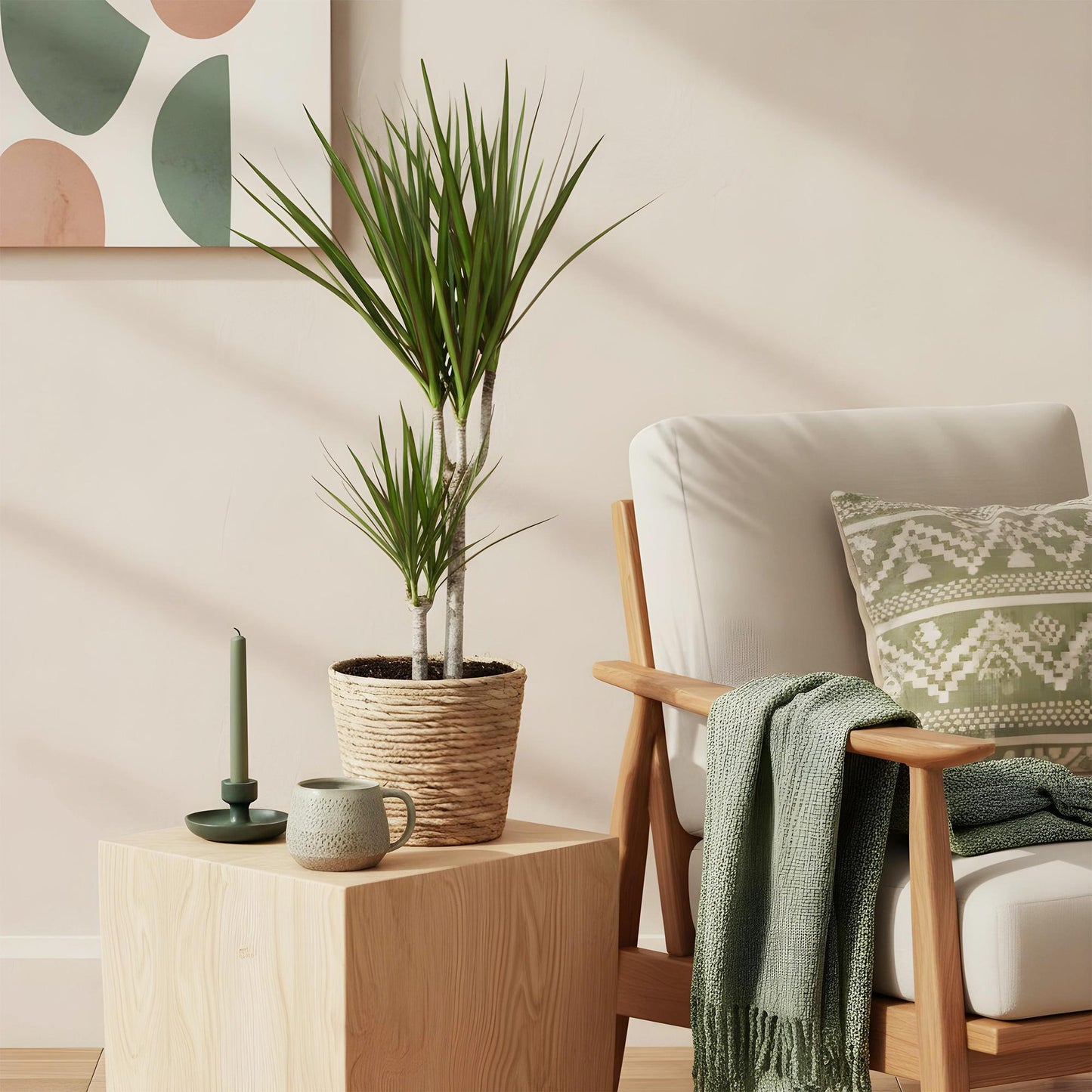Green BoutiQ - Green is... Kamerplanten - Dracaena Marginata - Drakenbloedboom - Weinig onderhoud - Groen - 1 Plant - Pot 17cm - Hoogte 70-80cm