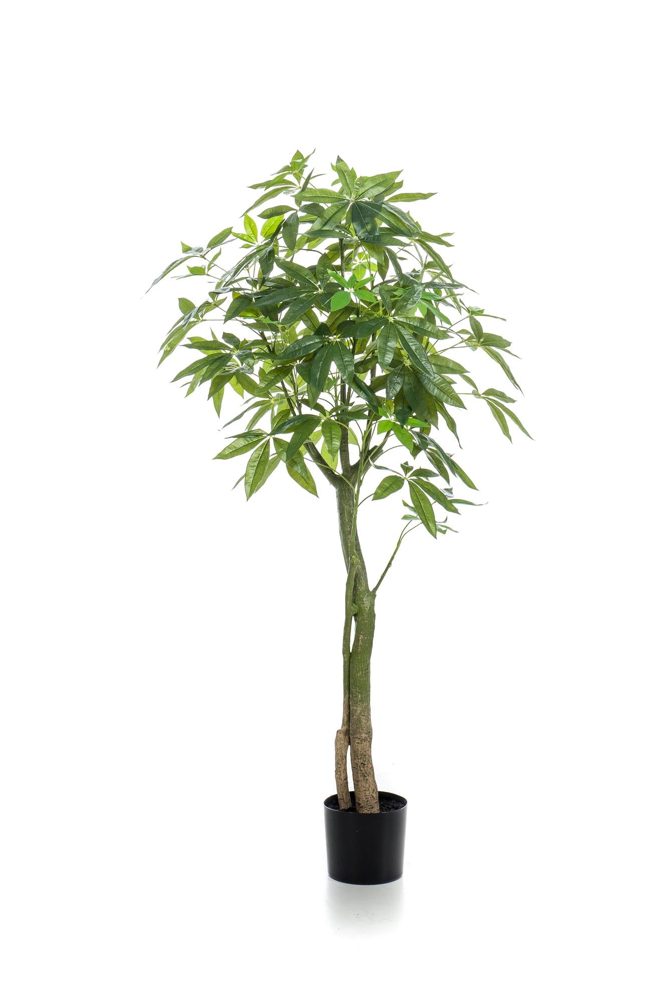 Artificial plant - Pachira Aquatica - Money tree - 150 cm