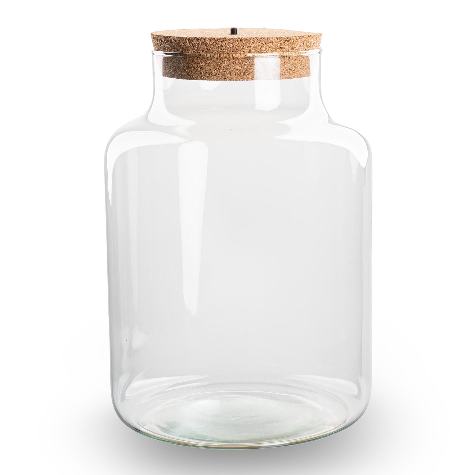 Terrarium fles met kurk