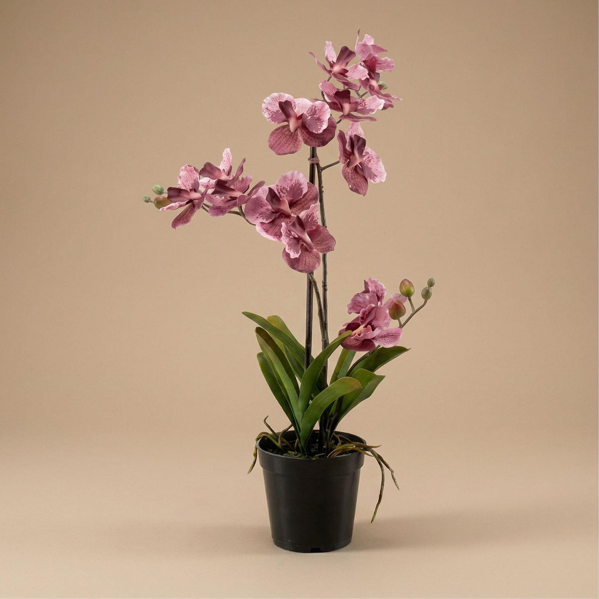 Orchidée Vanda artificielle vieux rose en pot – 60 cm